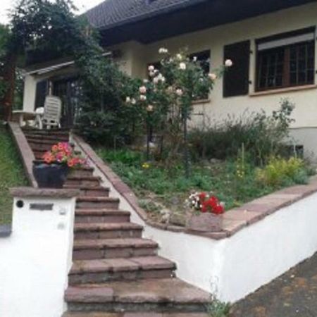 B&B Ma Maison Hautes Vosges Ranspach Zewnętrze zdjęcie