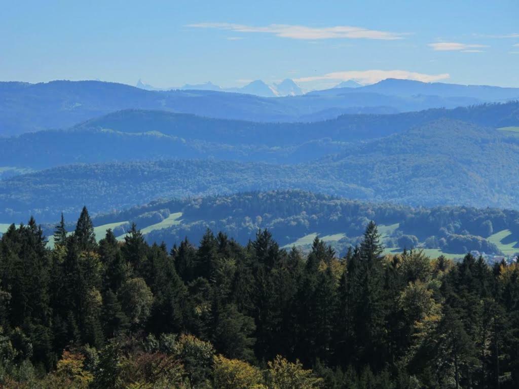 B&B Ma Maison Hautes Vosges Ranspach Zewnętrze zdjęcie