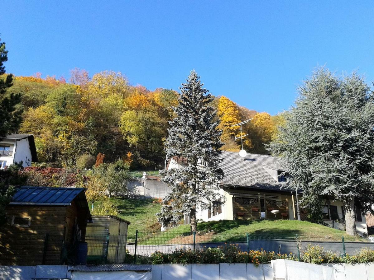 B&B Ma Maison Hautes Vosges Ranspach Pokój zdjęcie